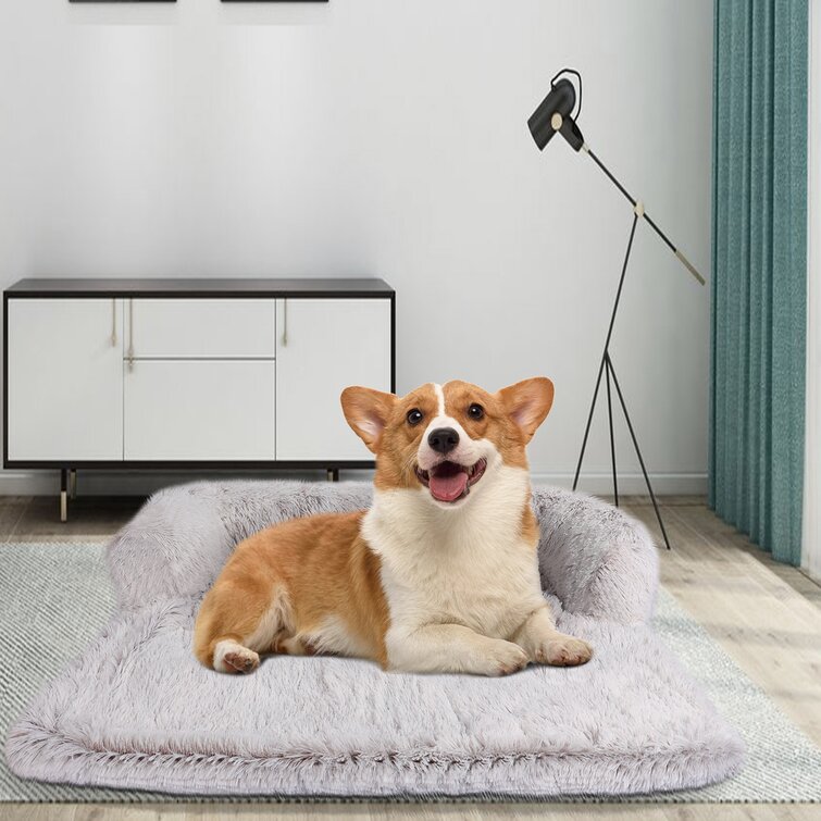 Treat a outlet dog bed cover